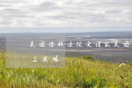 美团借钱法院受理么 美团借钱还不起法院会立案吗