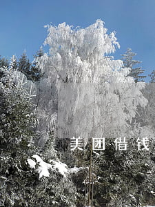 美团借钱逾期5天会发几个短信-