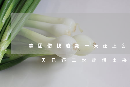 美团借钱逾期一天还上会怎样(美团借钱逾期一天已还二次能借出来吗)