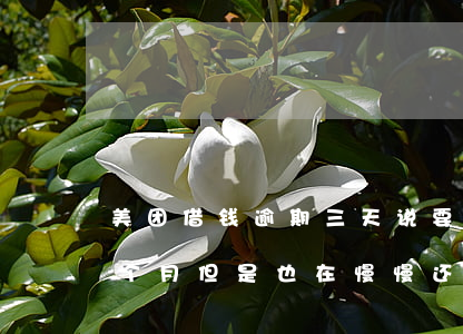 美团借钱逾期三天说要上门(美团借钱逾期三个月但是也在慢慢还进去)