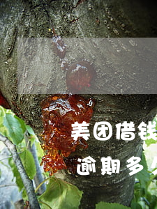 美团借钱逾期多久发短信给家属-美团借钱逾期多久发短信给家属啊