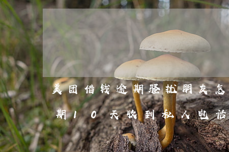 美团借钱逾期骚扰朋友怎么举报(美团借款逾期10天收到私人电话恐吓我)