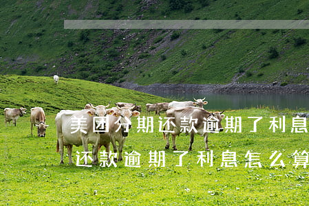 美团分期还款逾期了利息怎么算-美团分期还款逾期了利息怎么算出来的