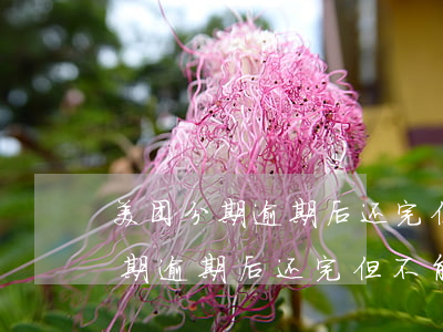 美团分期逾期后还完但不能使用了-美团分期逾期后还完但不能使用了怎么办