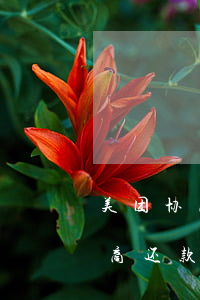 美团协商还款只还本金是不是真的-美团协商还款只还本金是不是真的假的