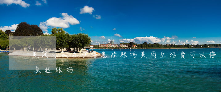 美团可以办理停息挂账吗(美团生活费可以停息挂账吗)