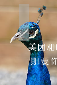 美团和唯品会逾期还款(美团还款逾期一个星期要你全额还款是真的吗)
