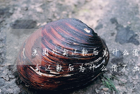 美团外卖还款后为什么借不出来了-美团外卖还款后为什么借不出来了呢