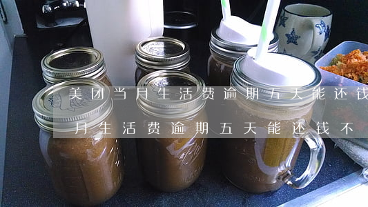 美团当月生活费逾期五天能还钱不-美团当月生活费逾期五天能还钱不