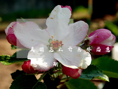 美团怎么开具非恶意逾期证明(如何证明非恶意逾期)