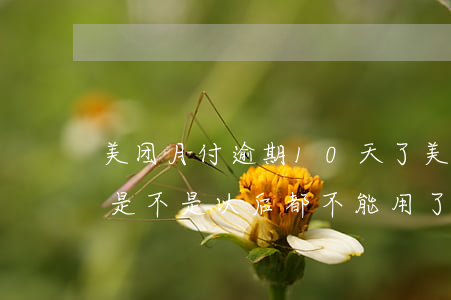 美团月付逾期10天了(美团月付逾期一星期是不是以后都不能用了?)