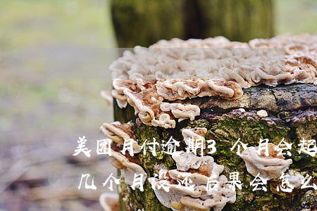 美团月付逾期3个月会起诉吗(美团月付逾期几个月没还后果会怎么样)
