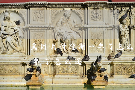美团月付逾期一年了怎么还（美团月付逾期一年了怎么还）