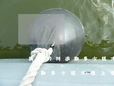美团月付逾期多少钱才会上征信-美团月付逾期多少钱才会上征信报告