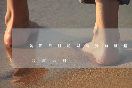 美团月付逾期有没有被起诉的案例 美团月付会起诉吗