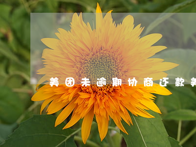 美团未逾期协商还款(美团支持协商还款吗)