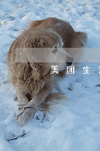 美团生意贷逾期了一天会影响吗-