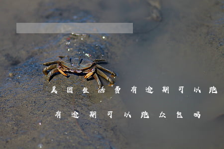 美团生活费有逾期可以跑众包吗（美团生活费有逾期可以跑众包吗）