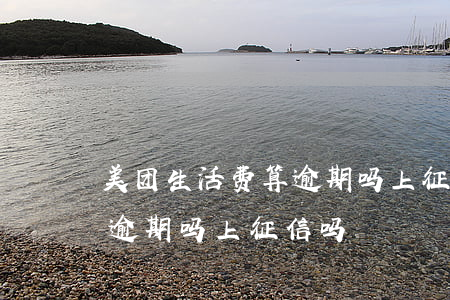 美团生活费算逾期吗上征信吗(美团生活费算逾期吗上征信吗)