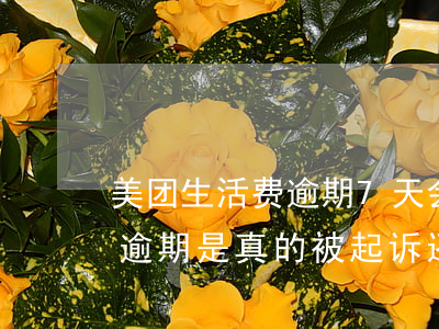 美团生活费逾期7天会被起诉吗(美团生活费逾期是真的被起诉 还是恐吓)
