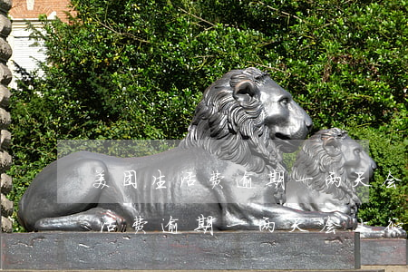 美团生活费逾期一两天会上征信吗-美团生活费逾期一两天会上征信吗知乎