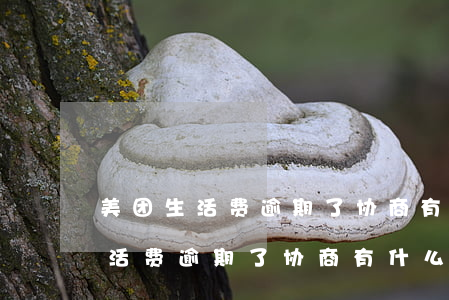 美团生活费逾期了协商有什么方案-美团生活费逾期了协商有什么方案吗