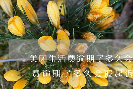 美团生活费逾期了多久会被起诉-美团生活费逾期了多久会被起诉会有什么后果
