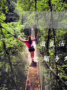 美团生活费逾期了怎么联系客服(美团生活费逾期多久联系紧急联系人)