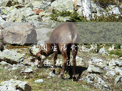 美团生活费逾期了说要定位上门-美团生活费逾期了说要定位上门是真的吗