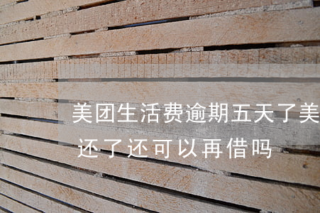 美团生活费逾期五天了(美团生活费逾期5天还了还可以再借吗)