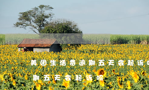 美团生活费逾期五天会起诉吗 美团生活费逾期五天会起诉吗