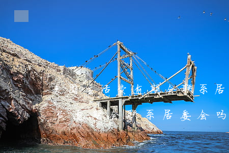 美团生活费逾期会联系居委会吗-美团生活费逾期会联系居委会吗是真的吗