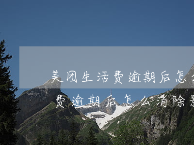 美团生活费逾期后怎么消除影响-美团生活费逾期后怎么消除影响征信