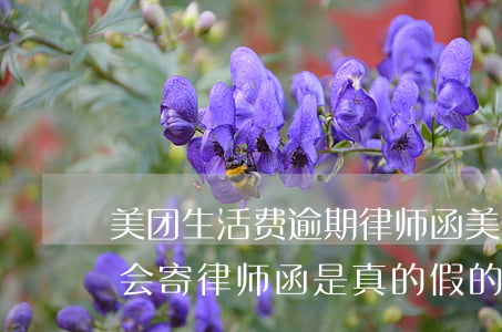 美团生活费逾期律师函(美团生活费逾期几天会寄律师函是真的假的)