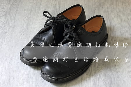 美团生活费逾期打电话给我父母-美团生活费逾期打电话给我父母是真的吗