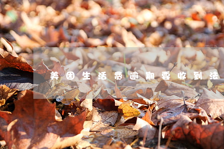 美团生活费逾期要收到法律函件-