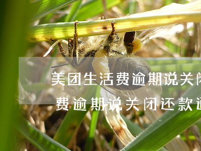 美团生活费逾期说关闭还款通道-美团生活费逾期说关闭还款通道怎么办