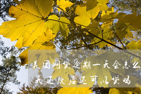 美团网贷逾期一天会怎么样(美团借款逾期一天还款后还可以贷吗)