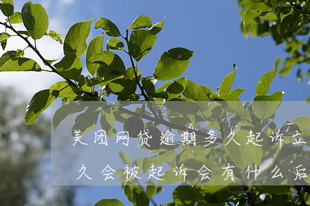 美团网贷逾期多久起诉立案标准 美团逾期多久会被起诉会有什么后果