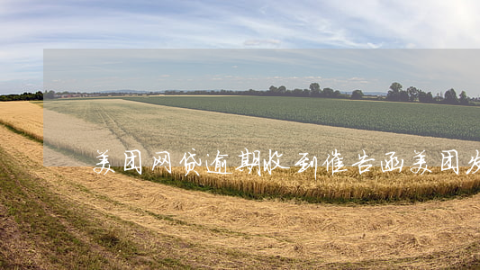 美团网贷逾期收到催告函(美团发催告函)