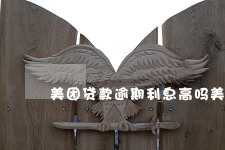 美团贷款逾期利息高吗(美团网贷利息高吗)