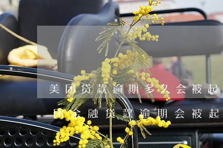 美团贷款逾期多久会被起诉会有什么后果（美团金融贷款逾期会被起诉吗）
