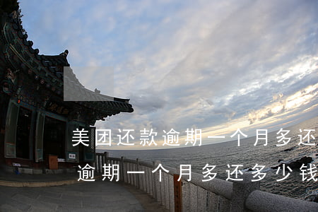 美团还款逾期一个月多还多少钱-美团还款逾期一个月多还多少钱啊