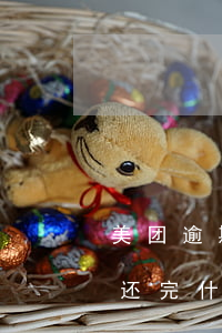 美团逾期10天可以吗(美团逾期10天全部还完 什么时候还能再借)