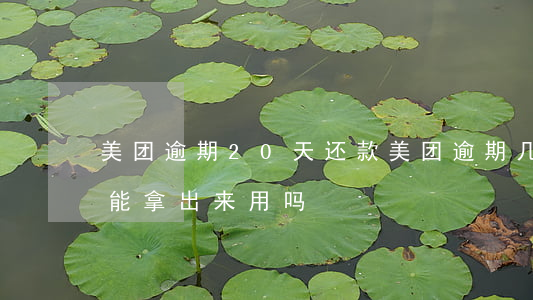 美团逾期20天还款(美团逾期几天还进去还能拿出来用吗)