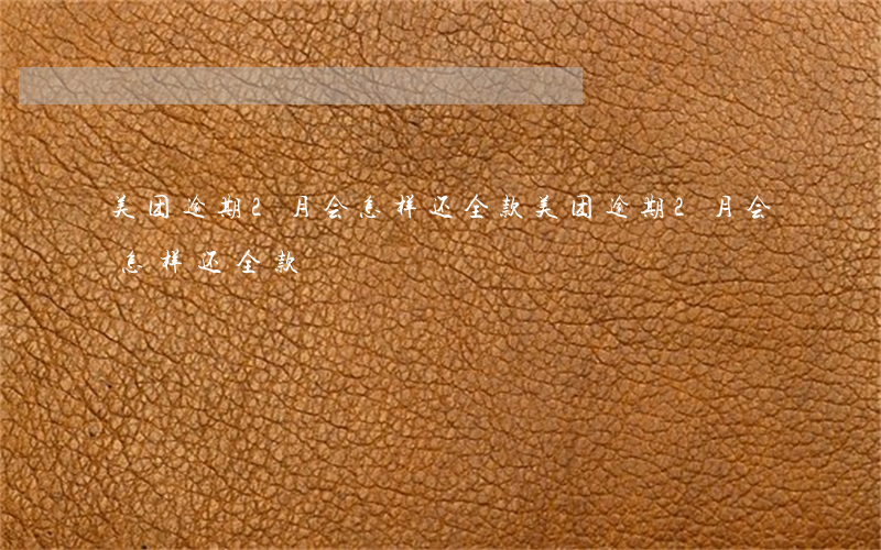 美团逾期2月会怎样还全款(美团逾期2月会怎样还全款)