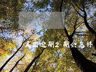 美团逾期2期会怎样