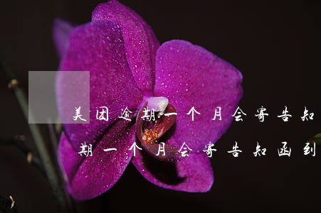 美团逾期一个月会寄告知函到家吗-美团逾期一个月会寄告知函到家吗是真的吗