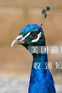 美团逾期一星期短信说起诉我(美团逾期三天收到短信让回电协商不然就起诉)