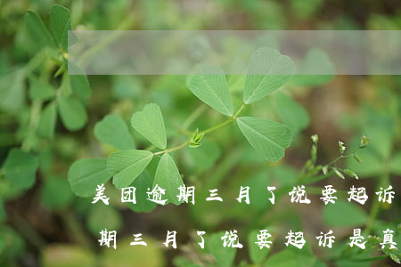 美团逾期三月了说要起诉是真的吗-美团逾期三月了说要起诉是真的吗吗